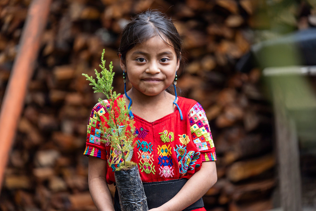 An eight-year-old indigenous girl in Guatemala, wearing traditional embroidered clothing, holds a small tree sapling outside her home, symbolizing environmental conservation and community resilience.
